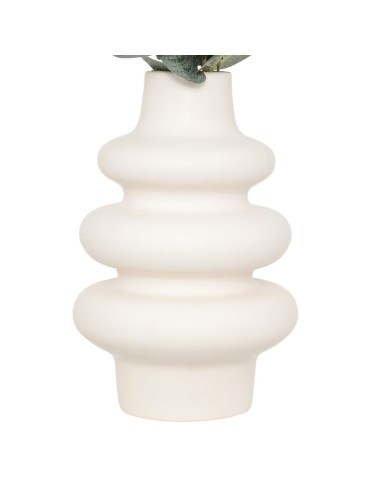 Composizione eucalipto con vaso Suza modelli assortiti | shopincasa.it