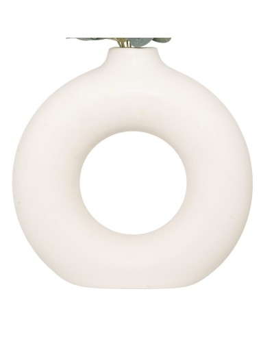 Composizione eucalipto con vaso Suza modelli assortiti | shopincasa.it