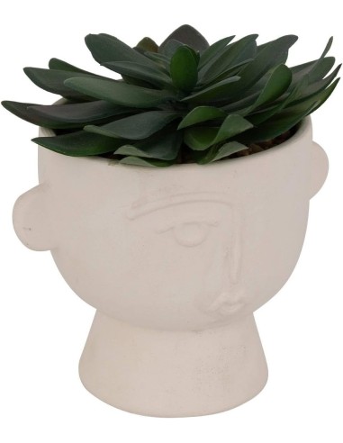 Pianta artificiale Dusty H 16 cm con vaso astratto | shopincasa.it