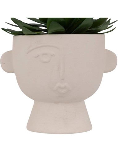 Pianta artificiale Dusty H 16 cm con vaso astratto | shopincasa.it
