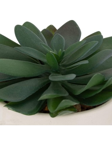 Pianta artificiale Dusty H 16 cm con vaso astratto | shopincasa.it