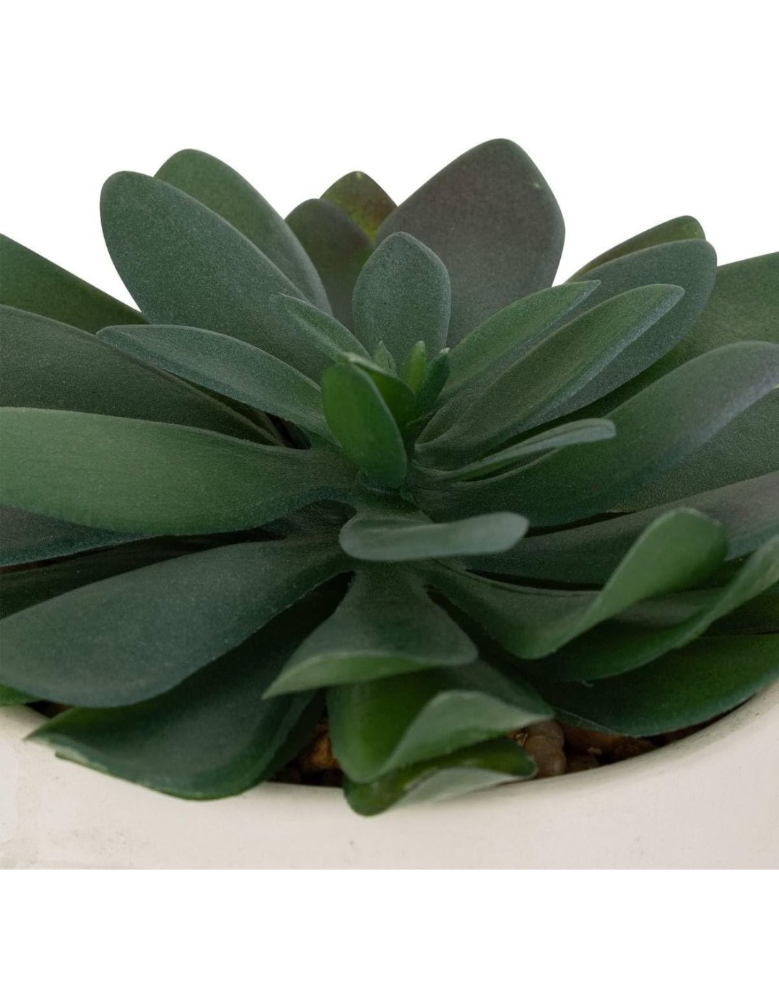 Pianta artificiale Dusty H 16 cm con vaso astratto | shopincasa.it
