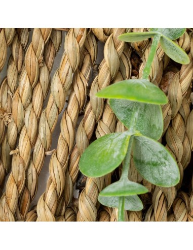 Pianta artificiale pensile Zea A 70 cm Atmosphera | shopincasa.it