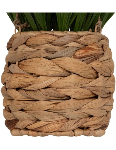 Pianta artificiale sospesa Moda H 27 cm Atmosphera | shopincasa.it