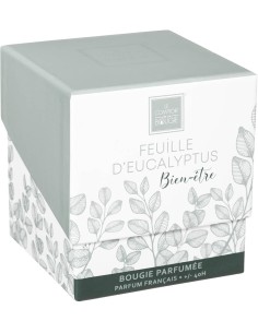 CANDELE: vendita online Candela profumata Mael Atmosphera 190 g Eucalipto in offerta 2