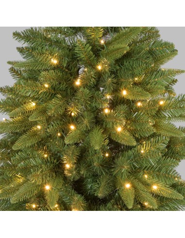 ALBERI DI NATALE: vendita online Abete Slim di Natale Prelit H150cm, PVC+PE Verde, 200 LED Bianco Caldo, 575 Punte, Giochi di...