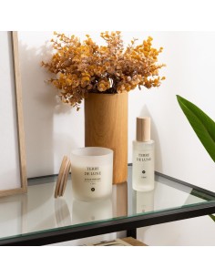 CANDELE: vendita online Candela profumata Terre de Lune Petali di Muschio 255 g – Atmosphera in offerta 2