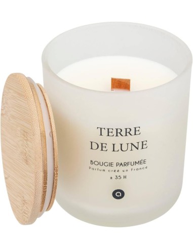 Candela profumata Terre de Lune Petali di Muschio 255 g | shopincasa.it