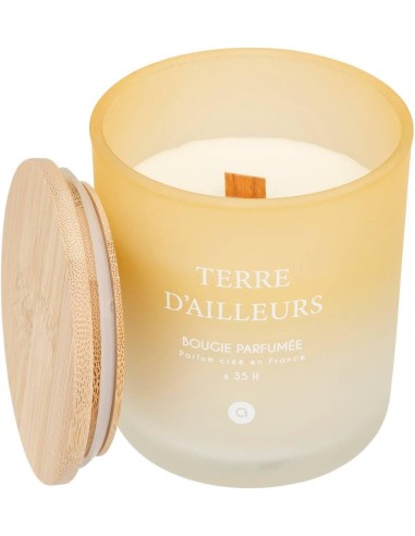 Candela profumata Terre d’Ailleurs Petali di Muschio 255 g | shopincasa.it
