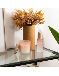 CANDELE: vendita online Candela profumata Terre des Merveilles Petali di Muschio 255 g – Atmosphera in offerta 2