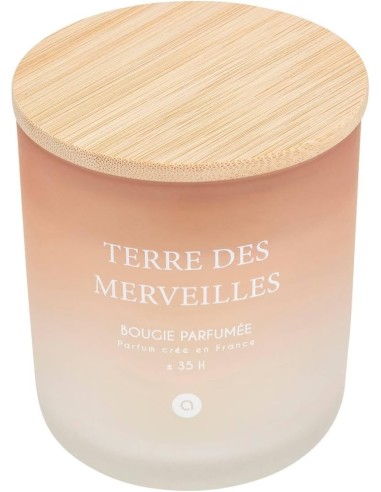 Candela profumata Terre des Merveilles Petali di Muschio 255 g | shopincasa.it
