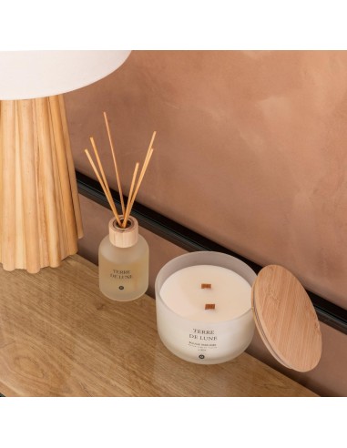 Candela profumata Terre de Lune Petali di Muschio 420 g | shopincasa.it