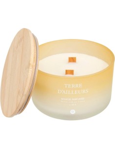 CANDELE: vendita online Candela profumata Terre d’Ailleurs Petali di Muschio 420 g – Atmosphera in offerta 2