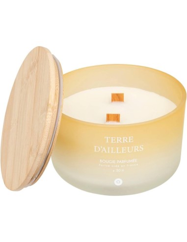 Candela profumata Terre d’Ailleurs Petali di Muschio 420 g | shopincasa.it