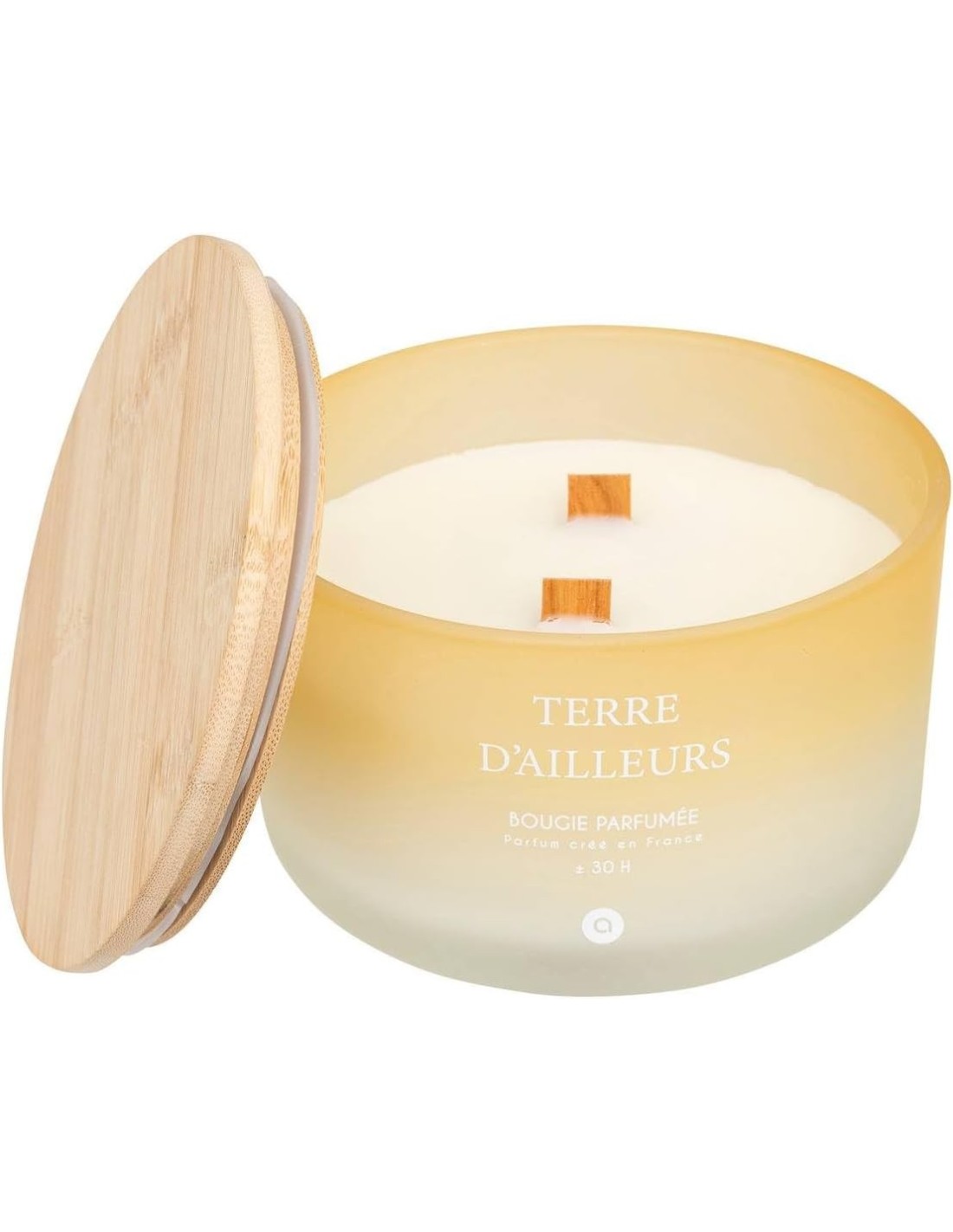 Candela profumata Terre d’Ailleurs Petali di Muschio 420 g | shopincasa.it