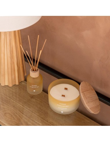Candela profumata Terre d’Ailleurs Petali di Muschio 420 g | shopincasa.it