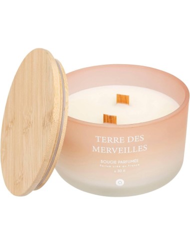 Candela profumata Terre des Merveilles Petali di Muschio 420 g | shopincasa.it