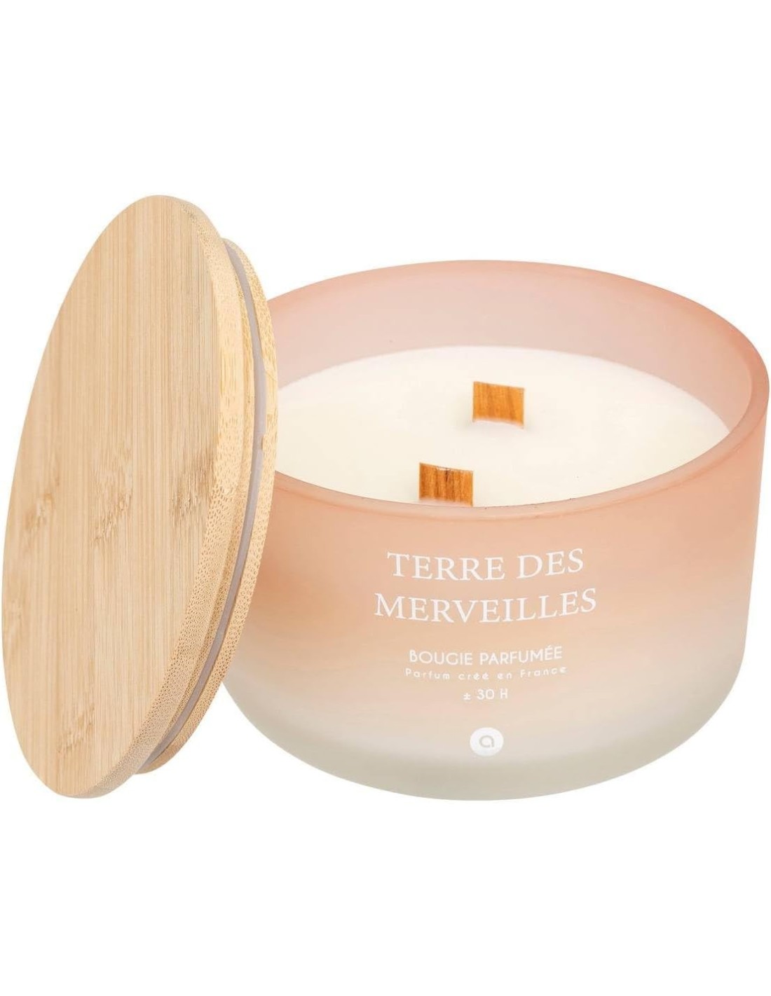 Candela profumata Terre des Merveilles Petali di Muschio 420 g | shopincasa.it