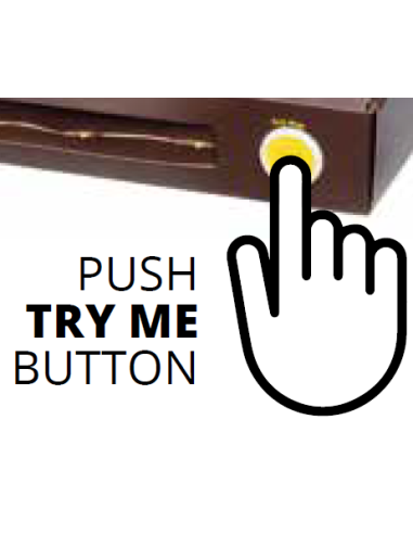 LUCI DI NATALE: vendita online Catena di Natale Decorata D4 4m, 40 MicroLED Bianco Caldo, Babbo Renna Pupazzo 3D, Cavo Argent...