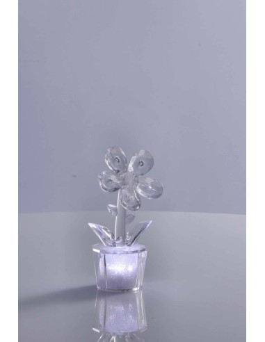 Mini Lampada Fiore da Tavolo Trasparente – Bomboniera | shopincasa.it