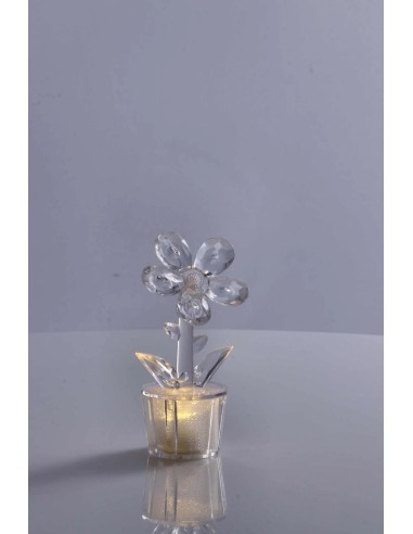Mini Lampada Fiore da Tavolo Trasparente – Bomboniera | shopincasa.it