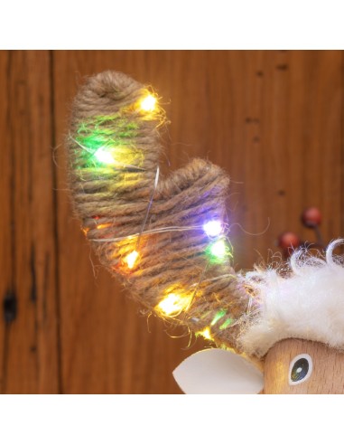 LUCI DI NATALE: vendita online Pecorenna di Natale H31cm, 50 MicroLED Dual Color Bianco Caldo e Multi, 9 Giochi di Luce, Time...