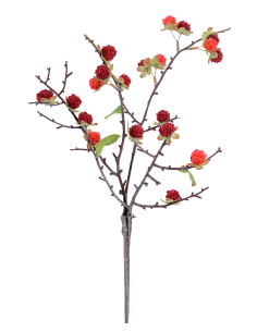 RAMO 6017-08 RIBES ROSSO CON FOGLIE