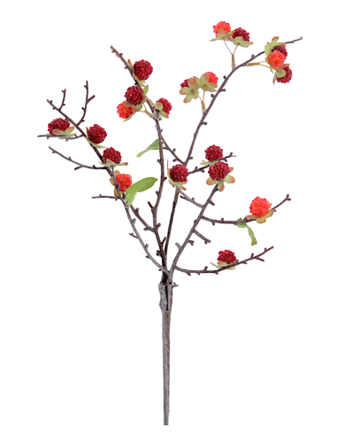 RAMO 6017-08 RIBES ROSSO CON FOGLIE