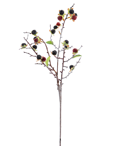 RAMO 6017-03 RIBES NERO CON FOGLIE