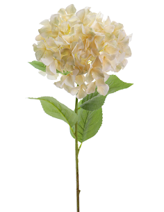 STELO 2765-31 HYDRANGEA BEIGE