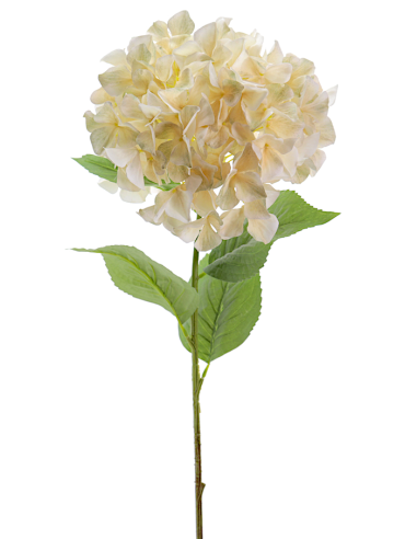 STELO 2765-31 HYDRANGEA BEIGE