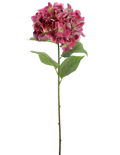 PIANTA 2765-07 HYDRANGEA FUCSIA