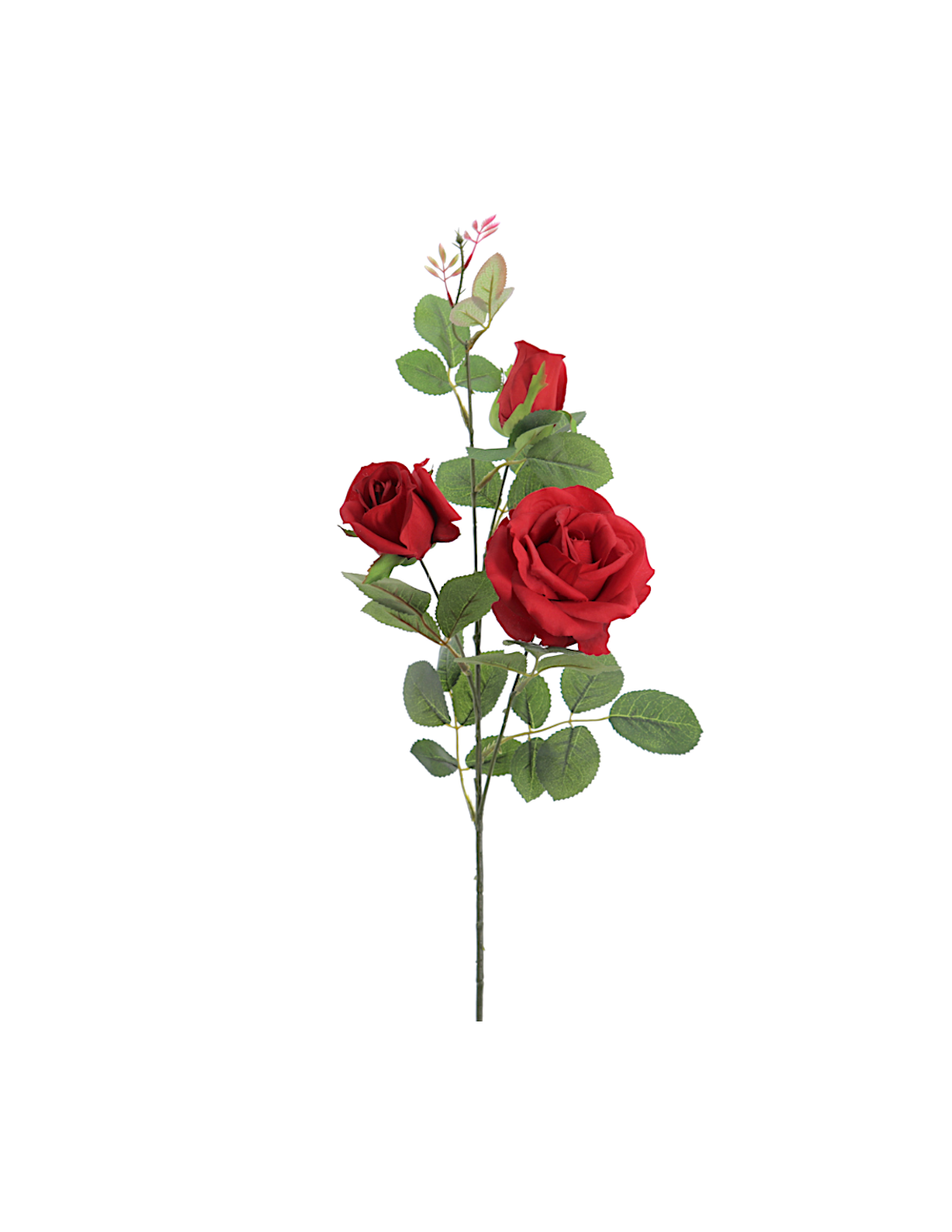 STELO 4317-08 3 ROSE ROSSE