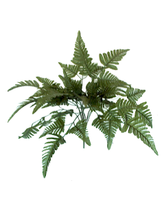 MAZZO 3342-09 FELCE AQUILINA VERDE