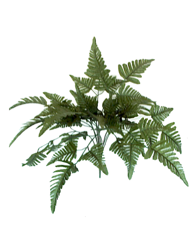 MAZZO 3342-09 FELCE AQUILINA VERDE