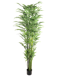 PIANTA 7592-09 BAMBOO 210CM FOGLIE GRANDI