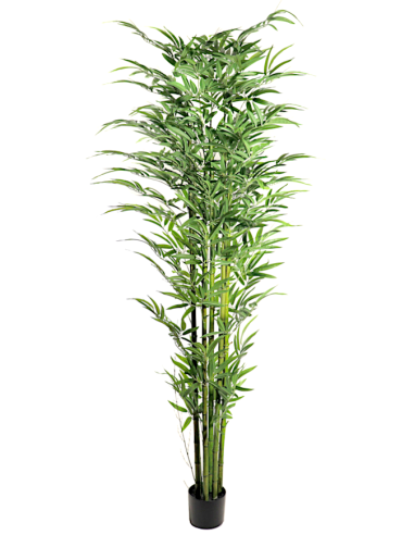 PIANTA 7592-09 BAMBOO 210CM FOGLIE GRANDI