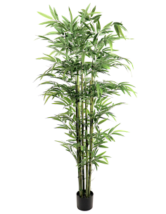 PIANTA 7591-09 BAMBOO 180CM FOGLIE GRANDI