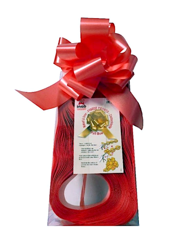 CONF 30 NASTRO FIOCCO VELOX ROSSO