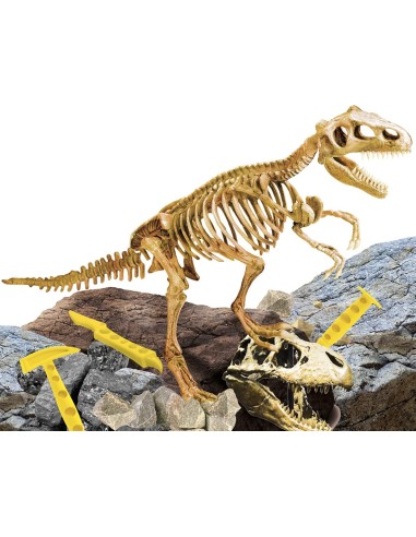 GIOCHI BOY: vendita online I’M A GENIUS, SUPER KIT T-REX, SCAVA IL BLOCCO, COSTRUISCI LO SCHELETRO in offerta