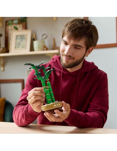 GIOCATTOLO PUBBLICIZZATO: vendita online LEGO BOTANICAL BAMBOO DEL BUON AUSPICIO in offerta