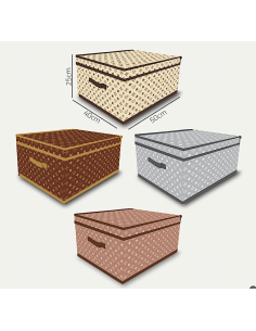 SCATOLA CAMBIOSTAGIONE 1028 50X40X25CM ASSORTITO