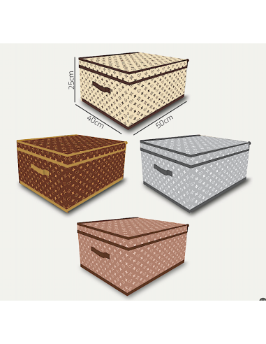 SCATOLA CAMBIOSTAGIONE 1028 50X40X25CM ASSORTITO