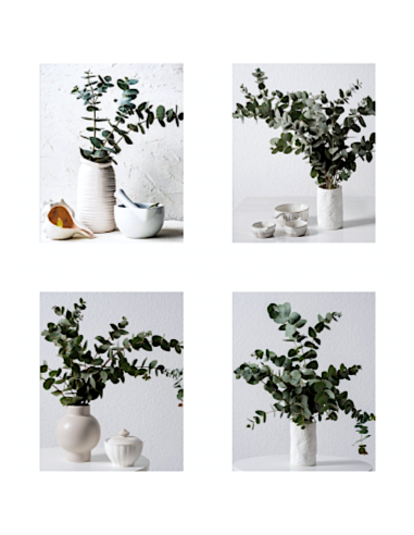 Quadro Assortito 60x60 cm in Tela | Shopincasa.it