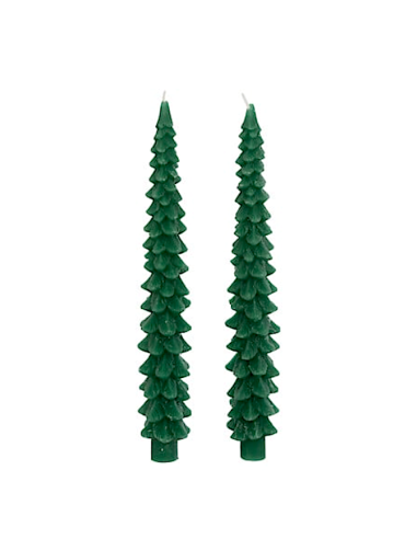 SET 2 CANDELE ABETE VERDE H25CM