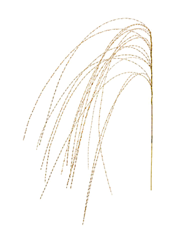 SFERE E PENDAGLI: vendita online Decorazione ramo di Natale in metallo oro H115cm - La magia di Natale a casa tua in offerta