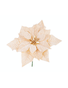 PICK POINSETTIA JANEL CHAMPAGNE 23CM