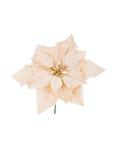 PICK POINSETTIA JANEL CHAMPAGNE 23CM