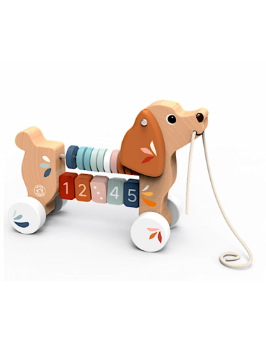 GIOCHI IN LEGNO: vendita online SPEEDY MONKEY SPD1050 CANE TRAINABILE MULTIATTIVITA' in offerta