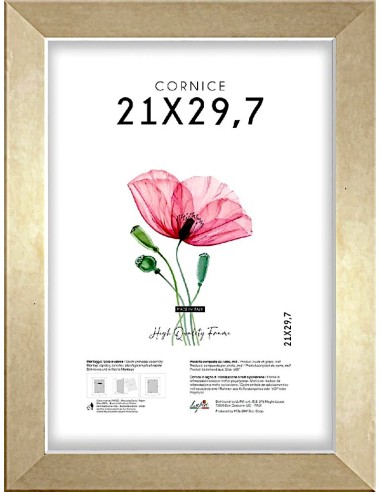 CORNICE QUADRA 21X29,7 ORO